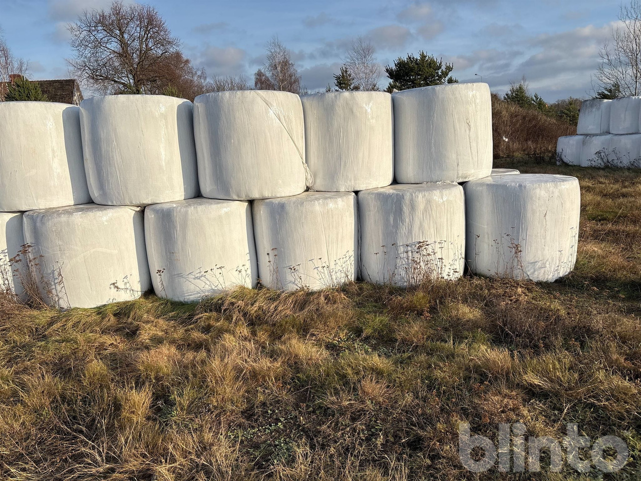 2:a skörd - Equipo para silos: foto 4 2:a skörd - Equipo para silos: foto 4