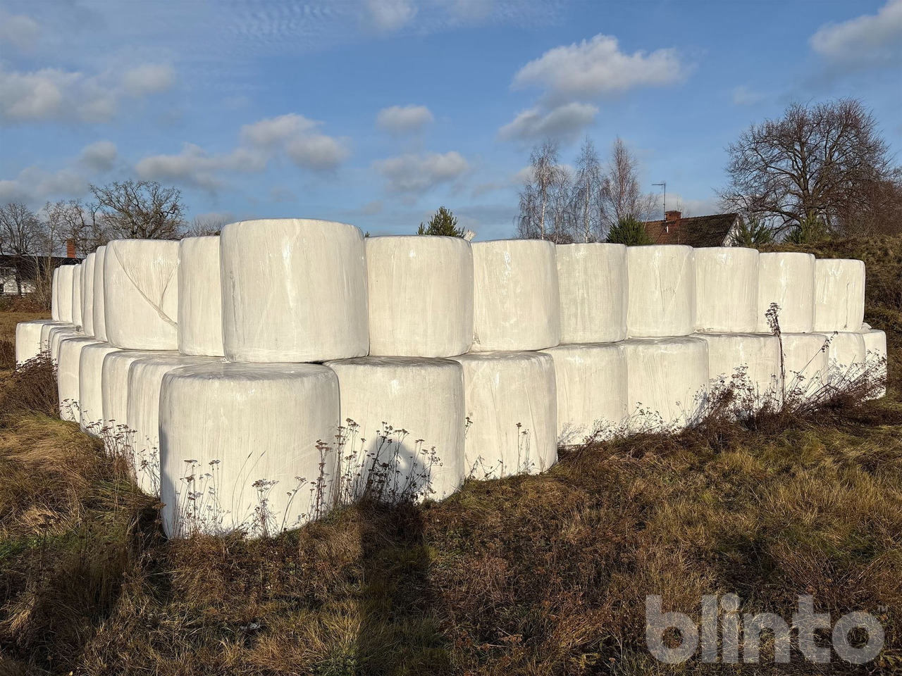 2:a skörd - Equipo para silos: foto 1 2:a skörd - Equipo para silos: foto 1