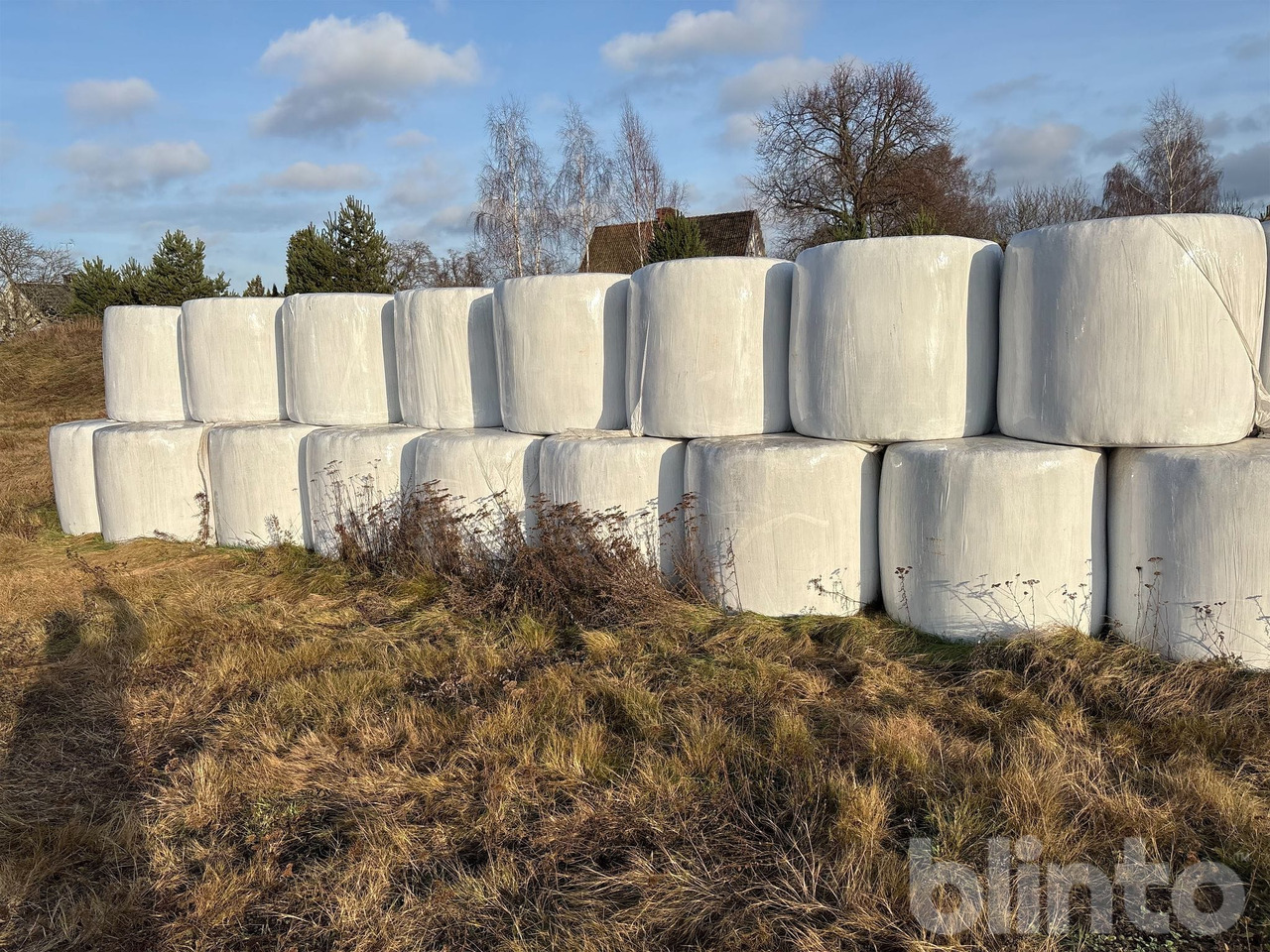 2:a skörd - Equipo para silos: foto 5 2:a skörd - Equipo para silos: foto 5