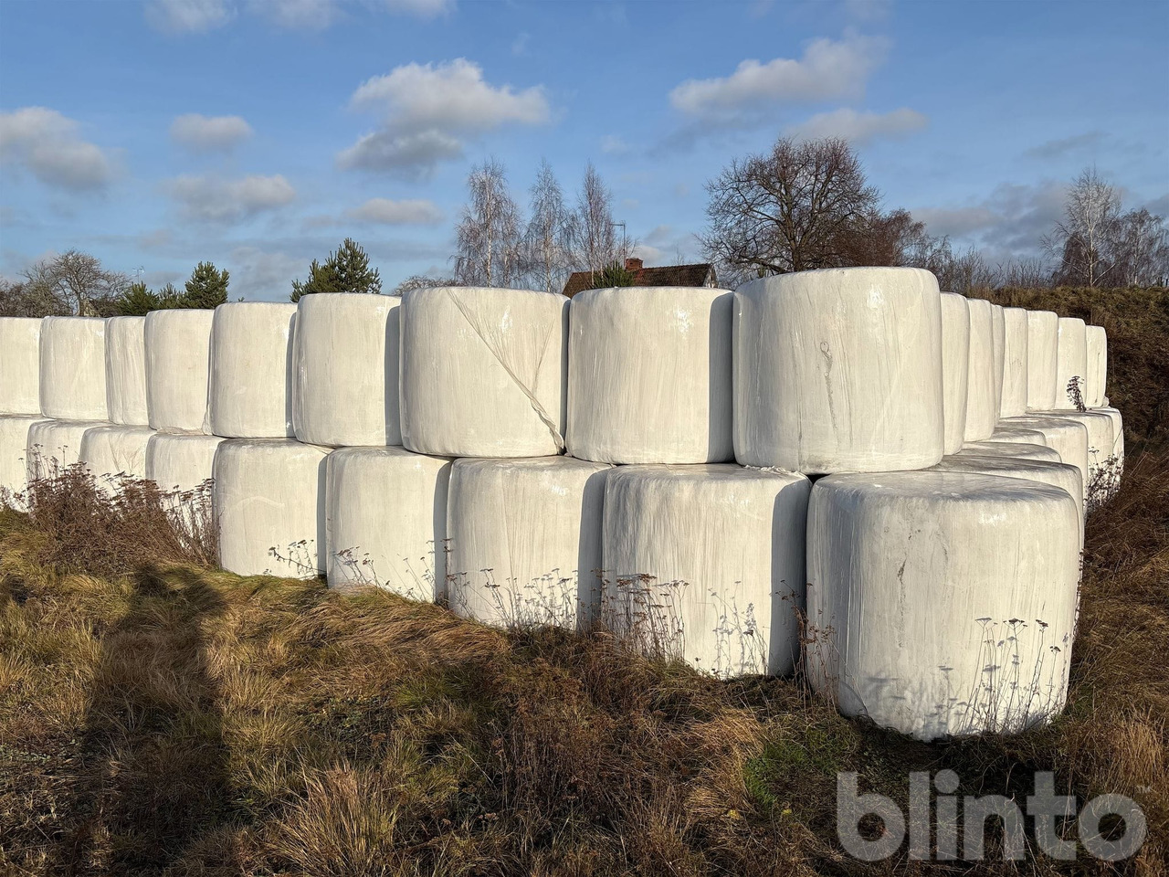 2:a skörd - Equipo para silos: foto 2 2:a skörd - Equipo para silos: foto 2