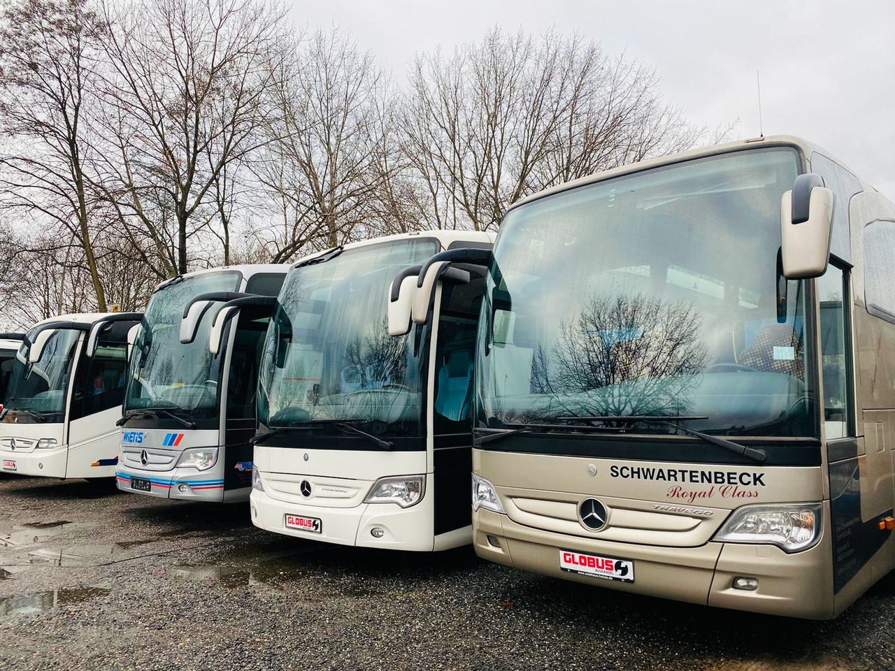 Autocar MAN R08 Lions Coach L (60 Sitze*Schalt): foto 27